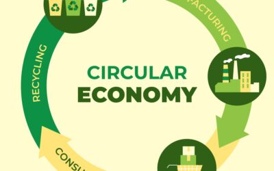 ¿Qué es la economía circular?